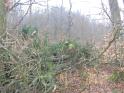 Bild 094